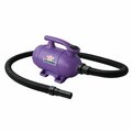Xpower Manufacture B-2-Purple 2 HP Pro at Home Pet Grooming Force Dryer & Vacuum, Purple XP626282